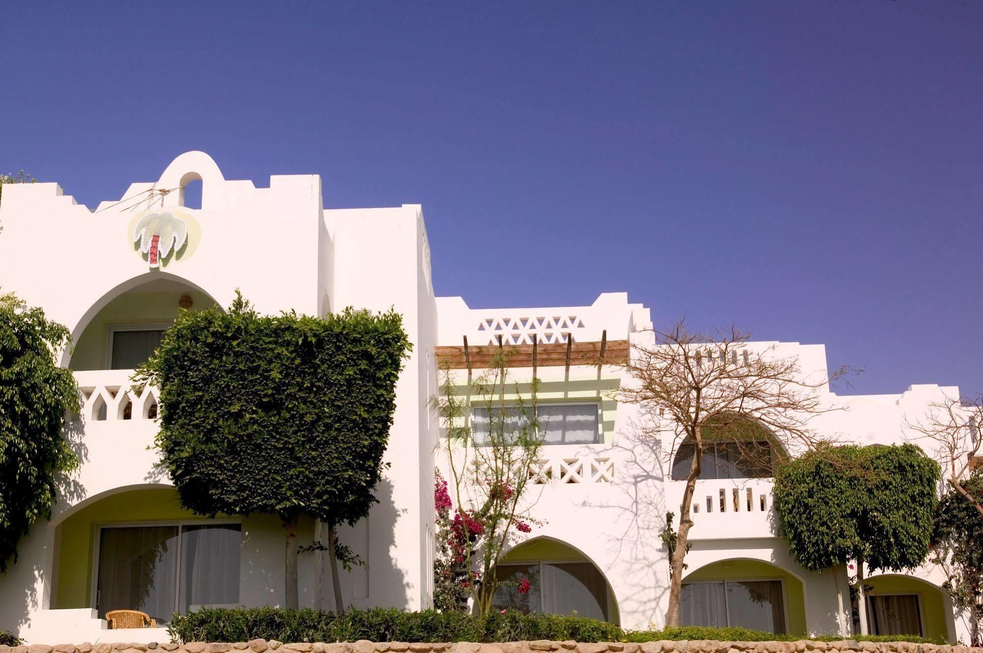 Domina Oasis Hotel & Resort Sharm El-Sheikh Exterior foto